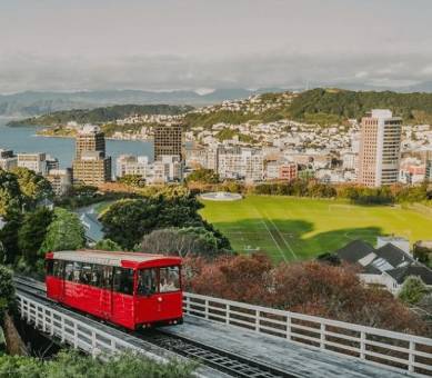 Tailor Made Suits Wellington